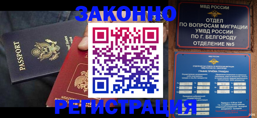 прописка законно в Ногинске